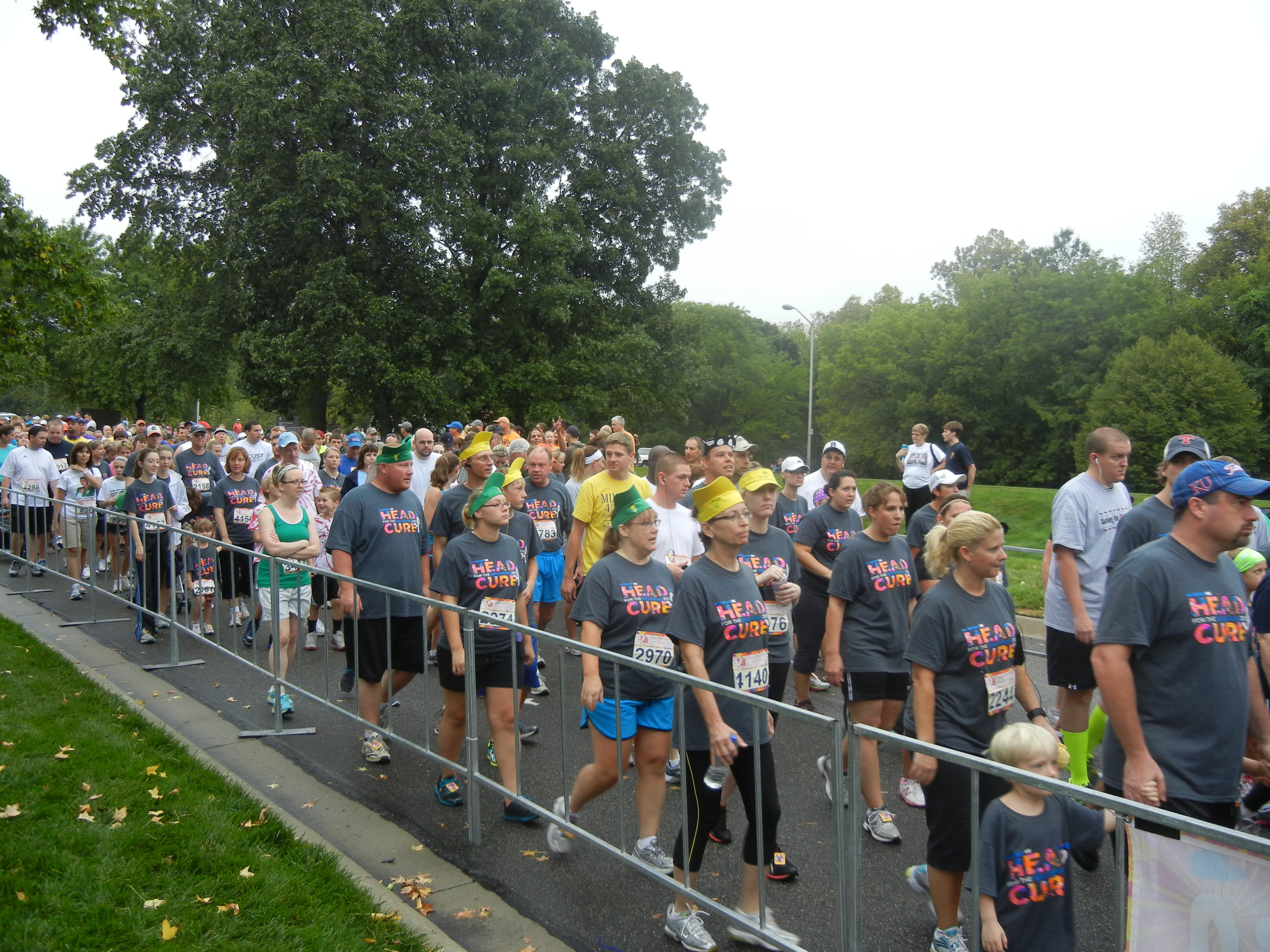 Walkers at the Head for the Cure 2012