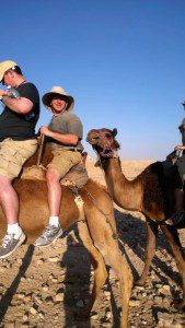 Camel riding in the Negev