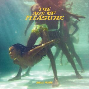 Janelle Monáe's The Age of Pleasure (Album cover property of Wondaland Productions LLC)